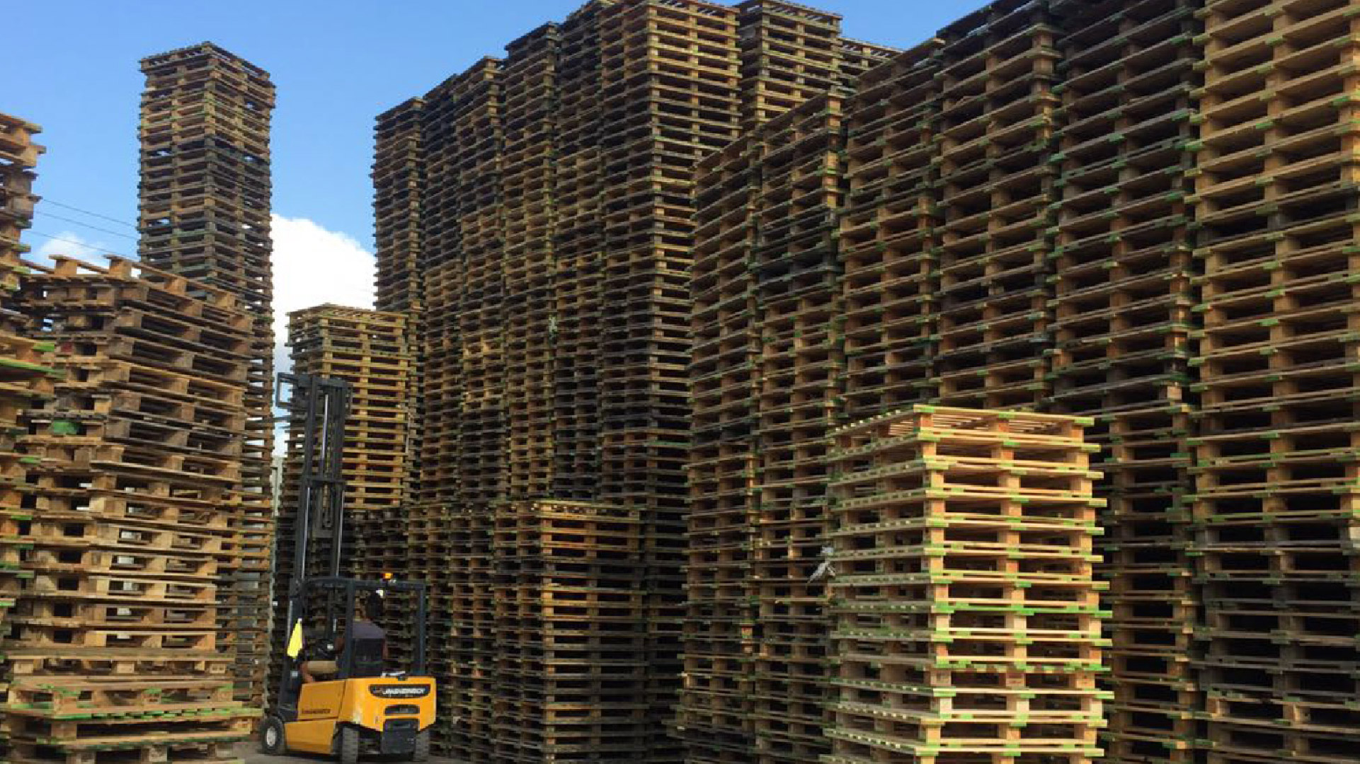 sıfır ahşap palet